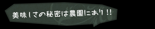 美味しさの秘密は農園にあり!!